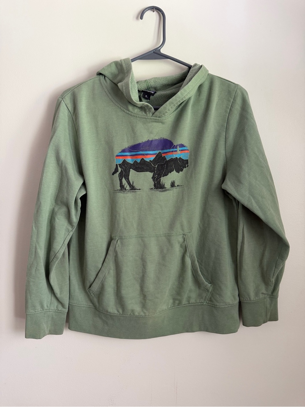 Patagonia Olive Green Hooded Sweatshirt with Rainbow-Stripes Buffalo Graphic